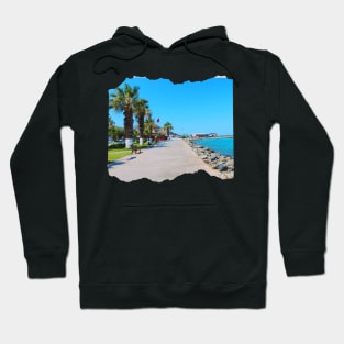 Beautiful photography of ocean, palm trees and blue sky Hoodie